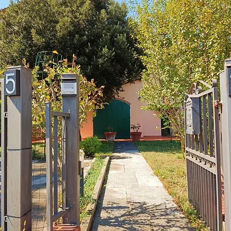 Gest Short Rent 5 *